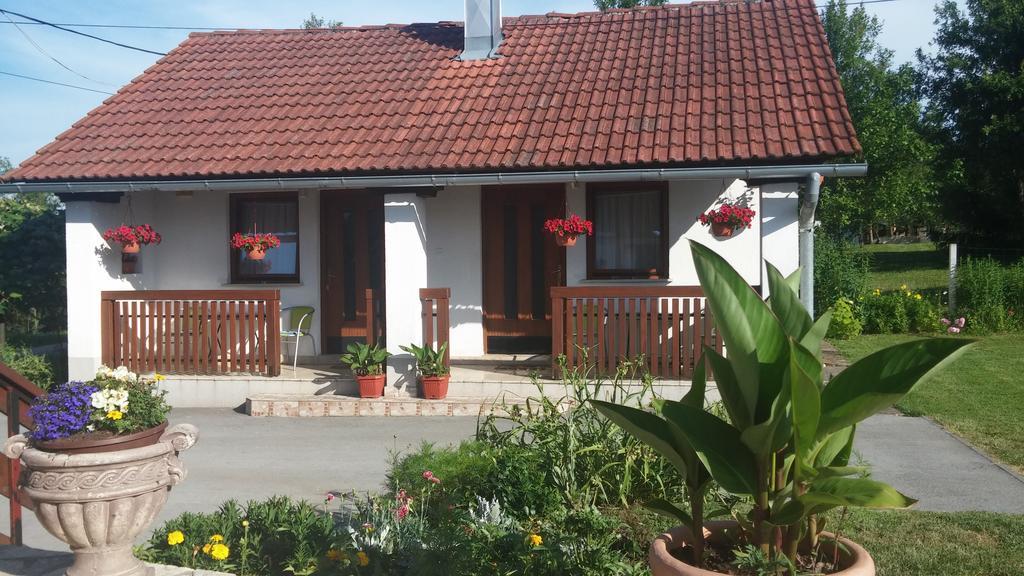 Guest House Family Dukic Rakovica Ruang foto