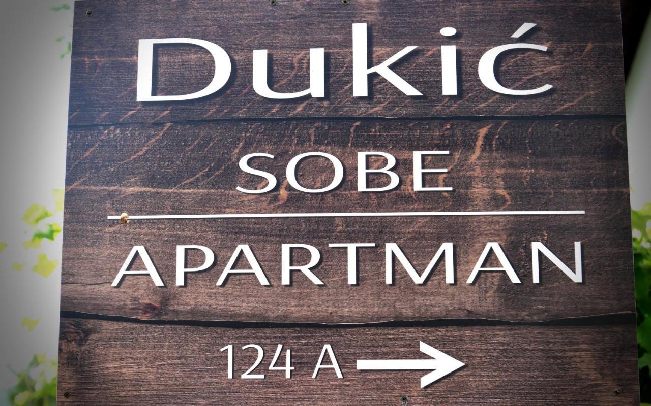 Guest House Family Dukic Rakovica Bagian luar foto