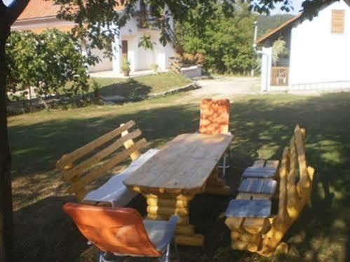 Guest House Family Dukic Rakovica Bagian luar foto